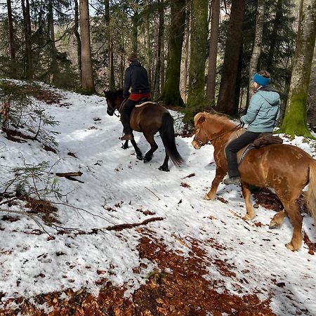 Apartament Winkelhof Oberstdorf Zewnętrze zdjęcie