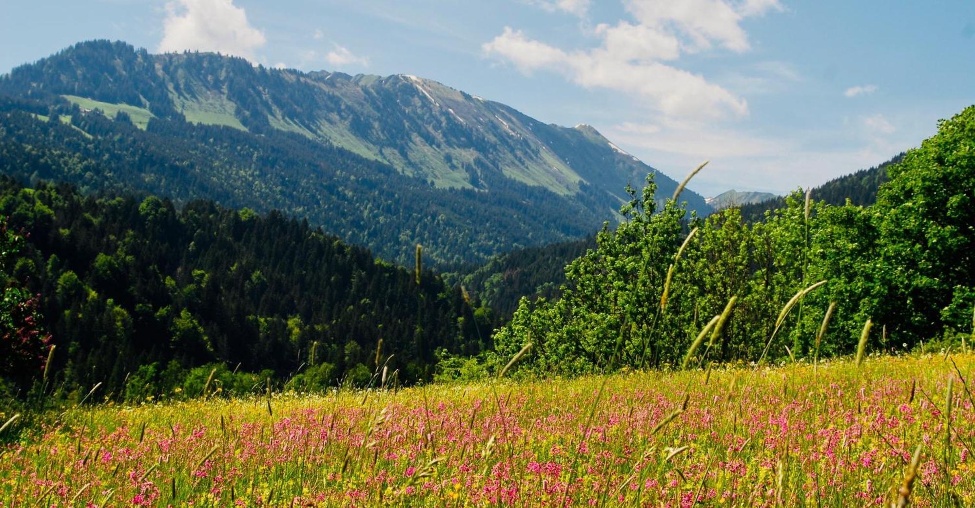 Apartament Winkelhof Oberstdorf Zewnętrze zdjęcie